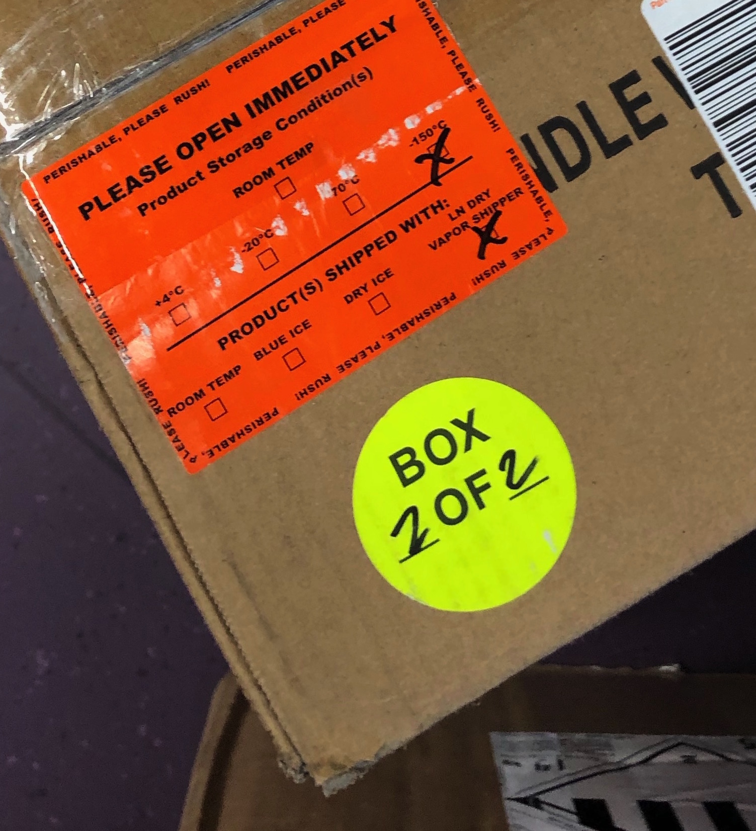 Box containing cells
