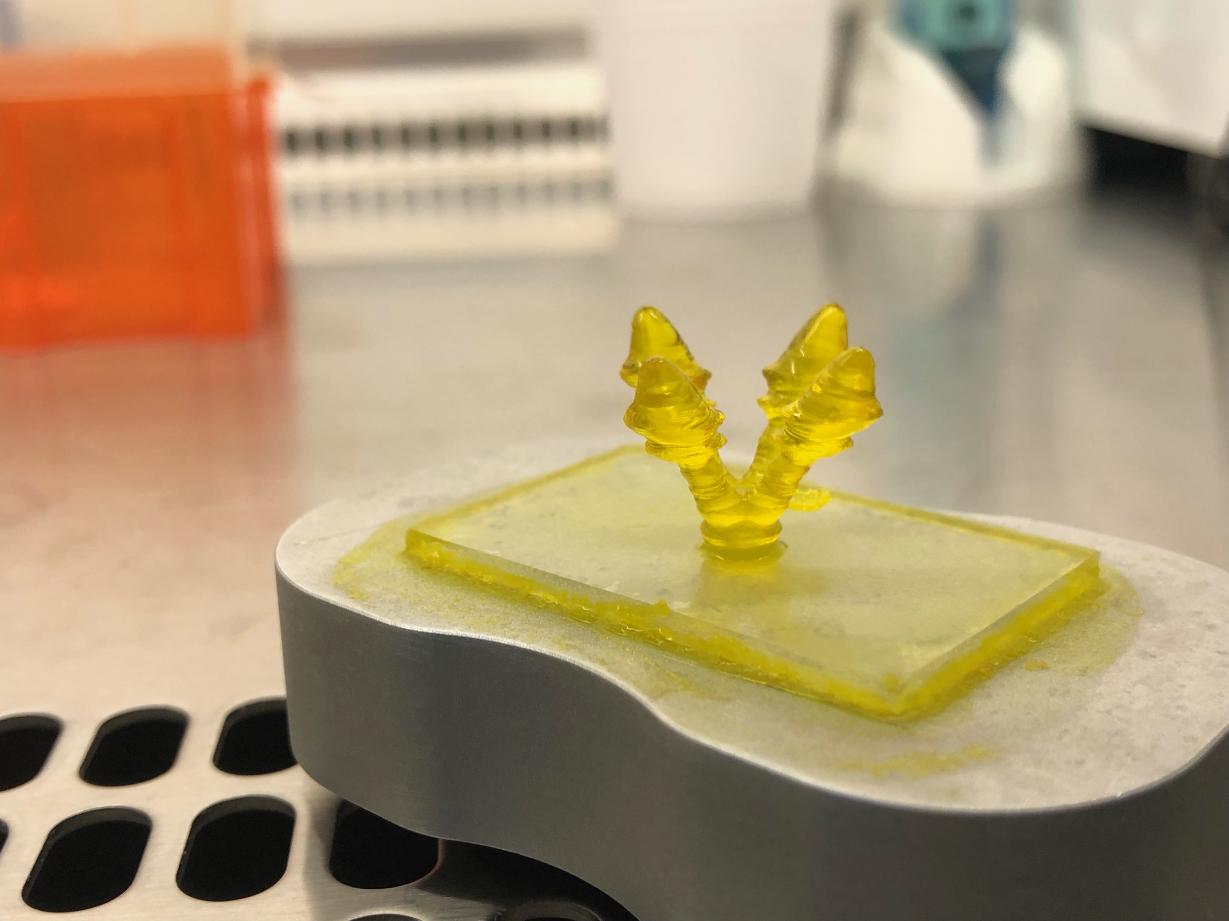 3D printed hydrogel form