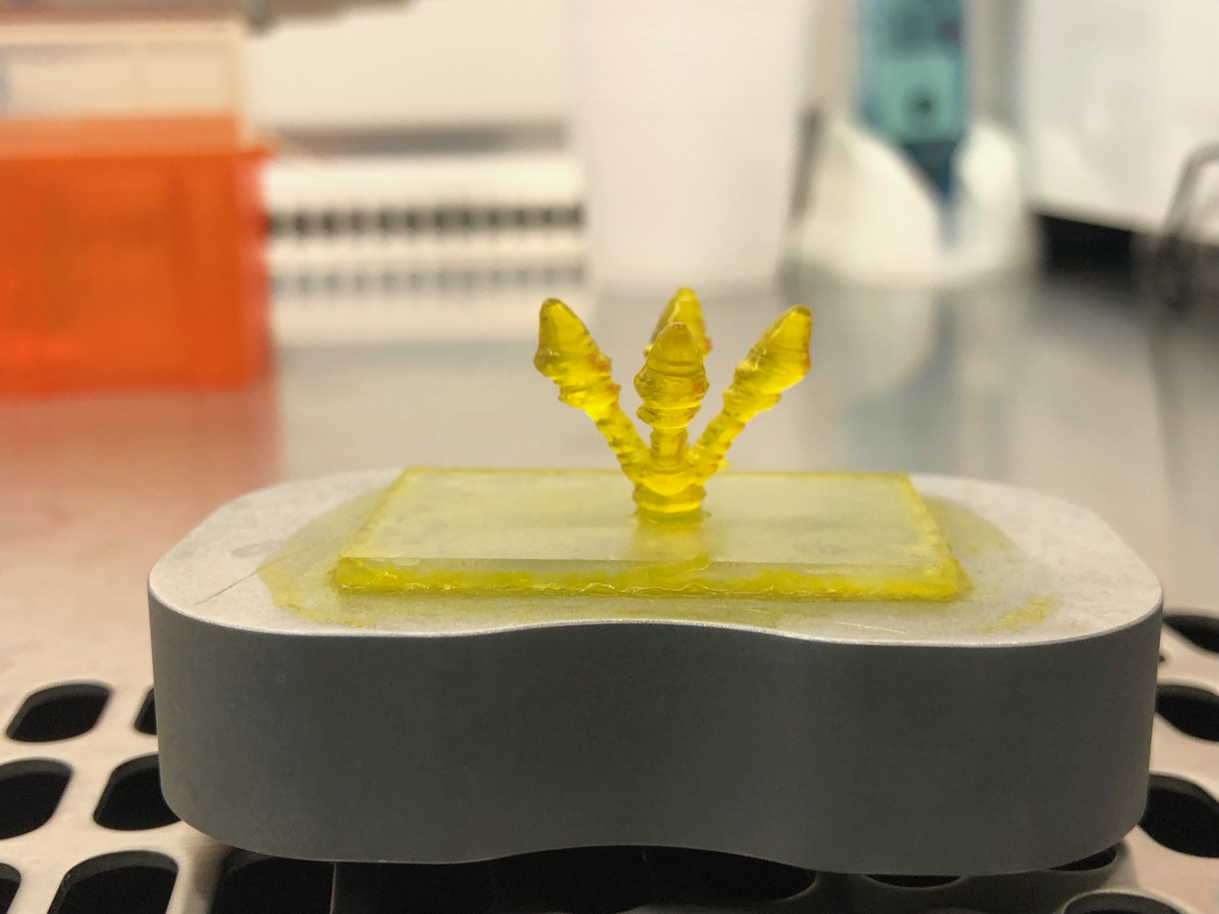 3D printed hydrogel form