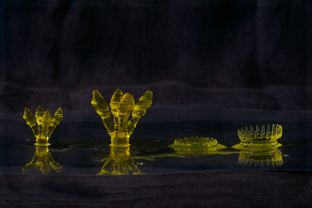 all 4 hydrogel printed forms