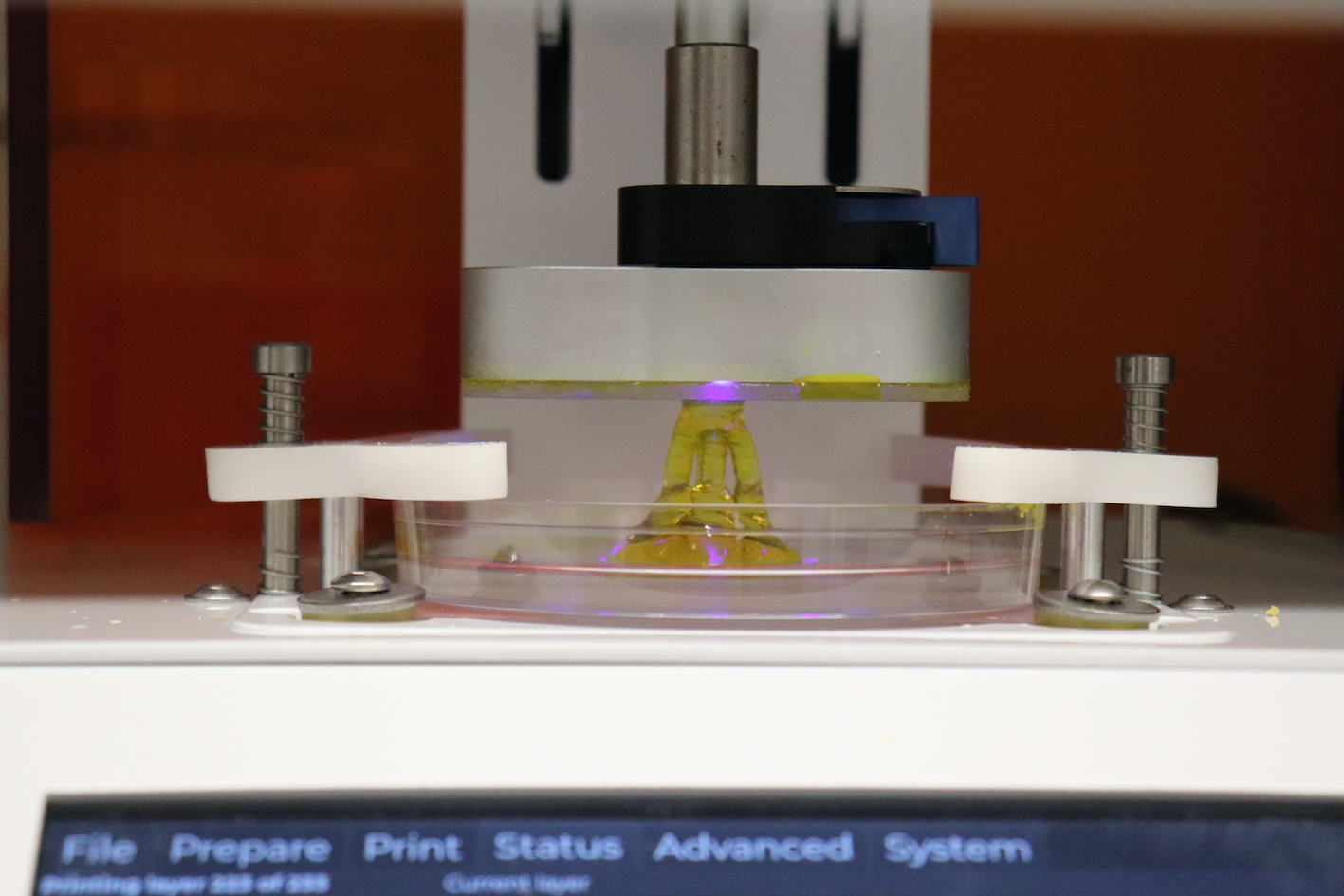 Bioprint completed in the LumenX bioprinter
